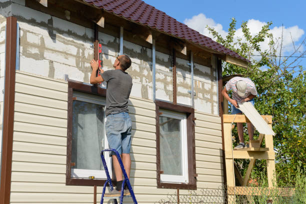 Best Custom Trim and Detailing for Siding  in Hutchison, VA