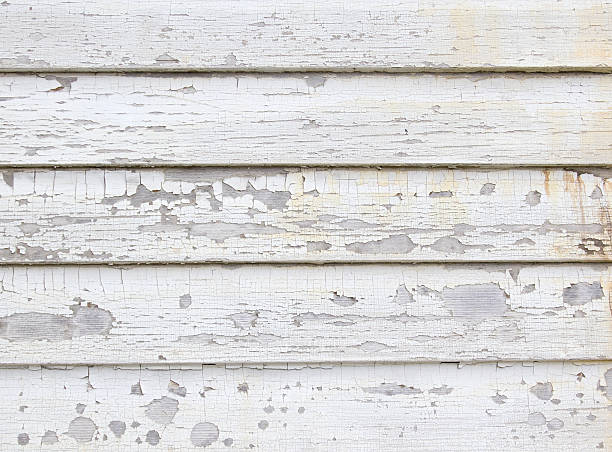 Best Historical Building Siding Restoration  in Hutchison, VA